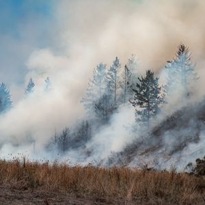 Doctor warns of negative effects wildfire smoke can have on our health