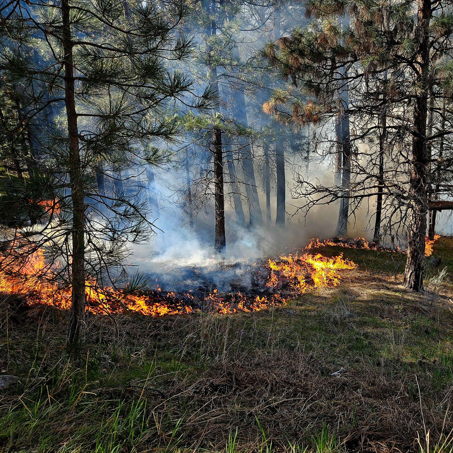 Michigan congressman demands Canada deal with wildfires, or face sanctions