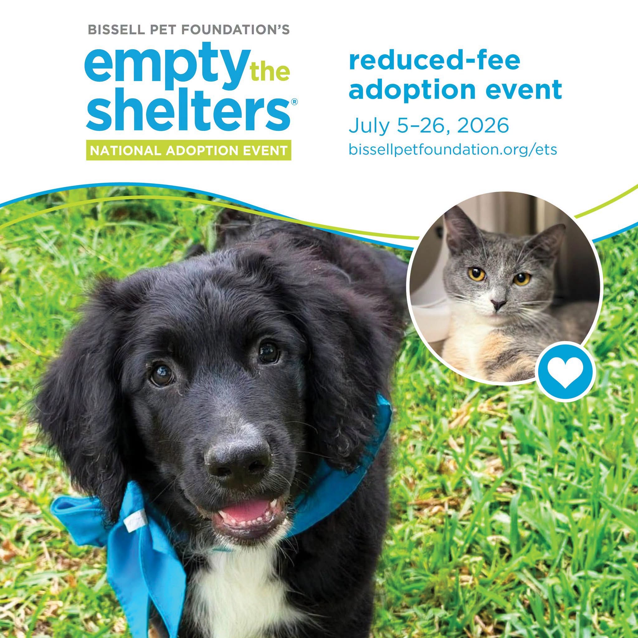 Want a pet? Empty the Shelters pet adoption event underway
