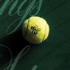 Detroit Symphony Orchestra's Strings for Strings fundraiser begins
