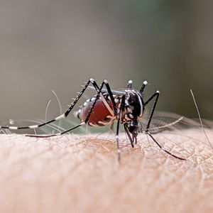 Wayne County resident tests positive for West Nile virus
