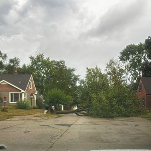 Trees are damaged in your yard. Now what?