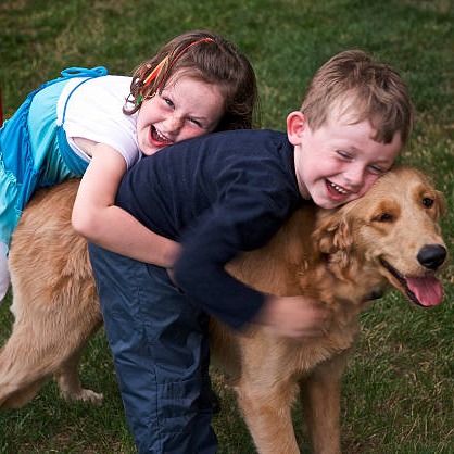 The kids are back to school, but your dog or cat may act up
