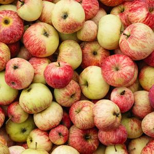 Cold cider, hot doughnuts: Historic Franklin Cider Mill offers fall family fun