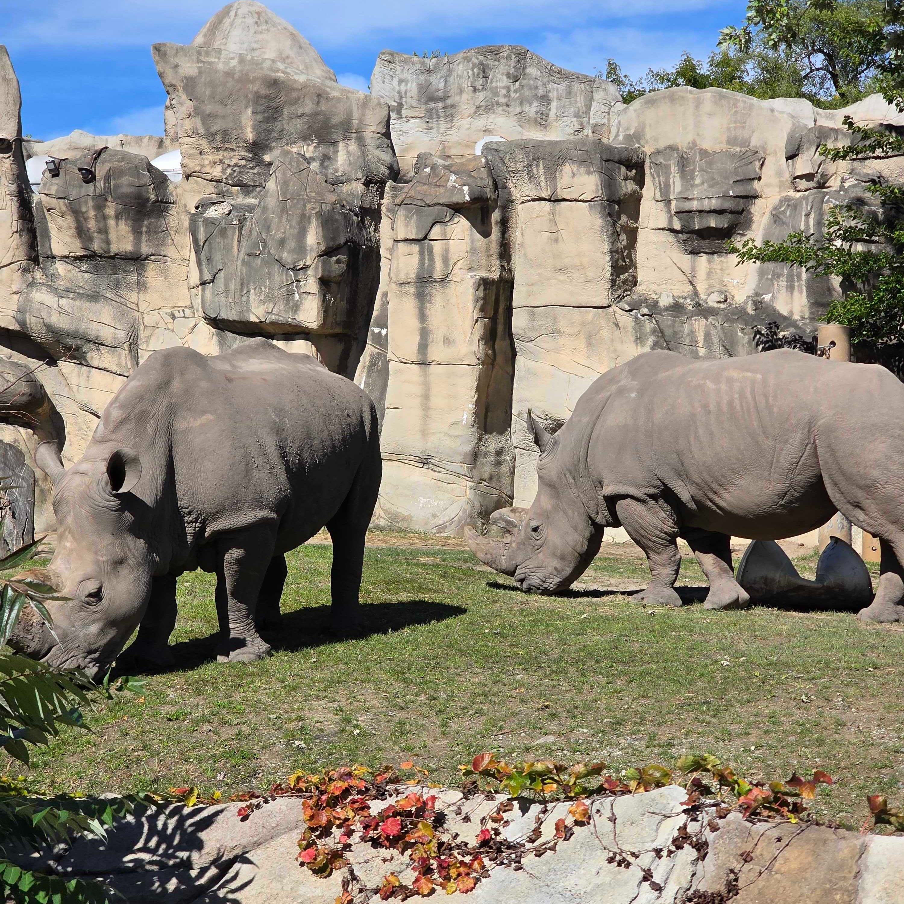 Detroit Zoo's millage up for renewal this fall