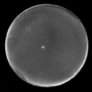 U-M searches for planets in nearby binary star system