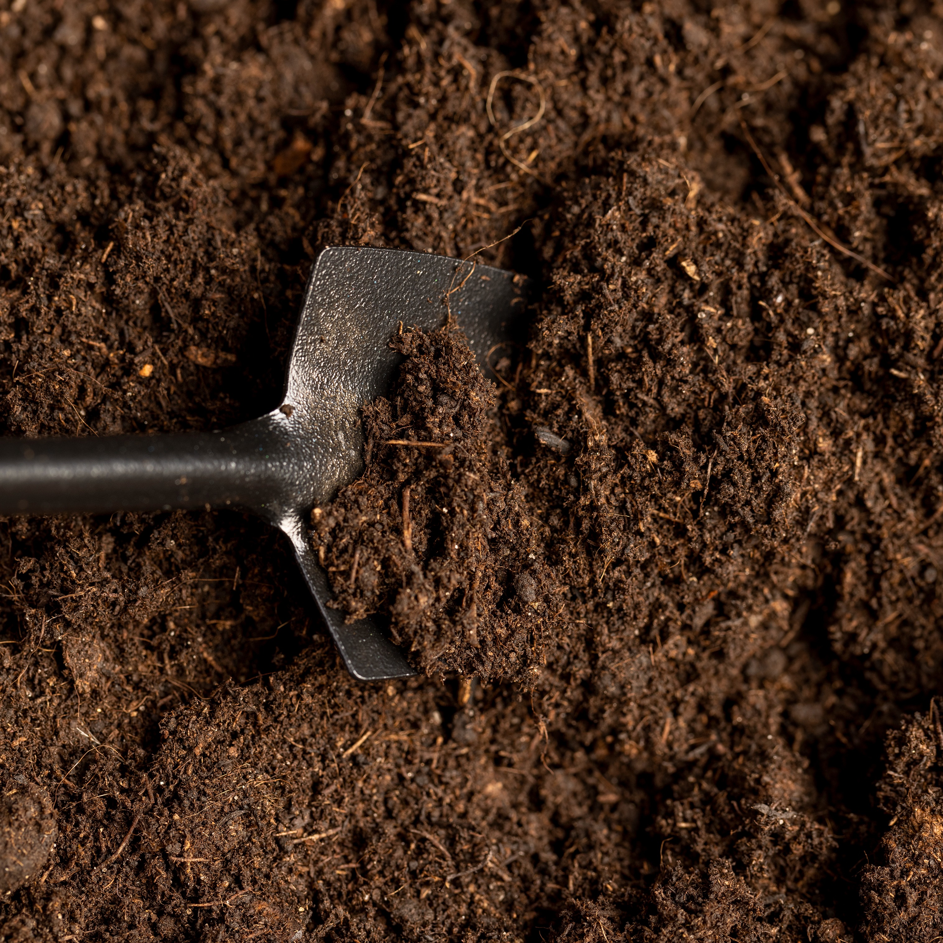 Detroit-based Scrap Soils will pick up food scraps from your door
