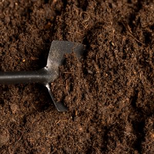 Detroit-based Scrap Soils will pick up food scraps from your door