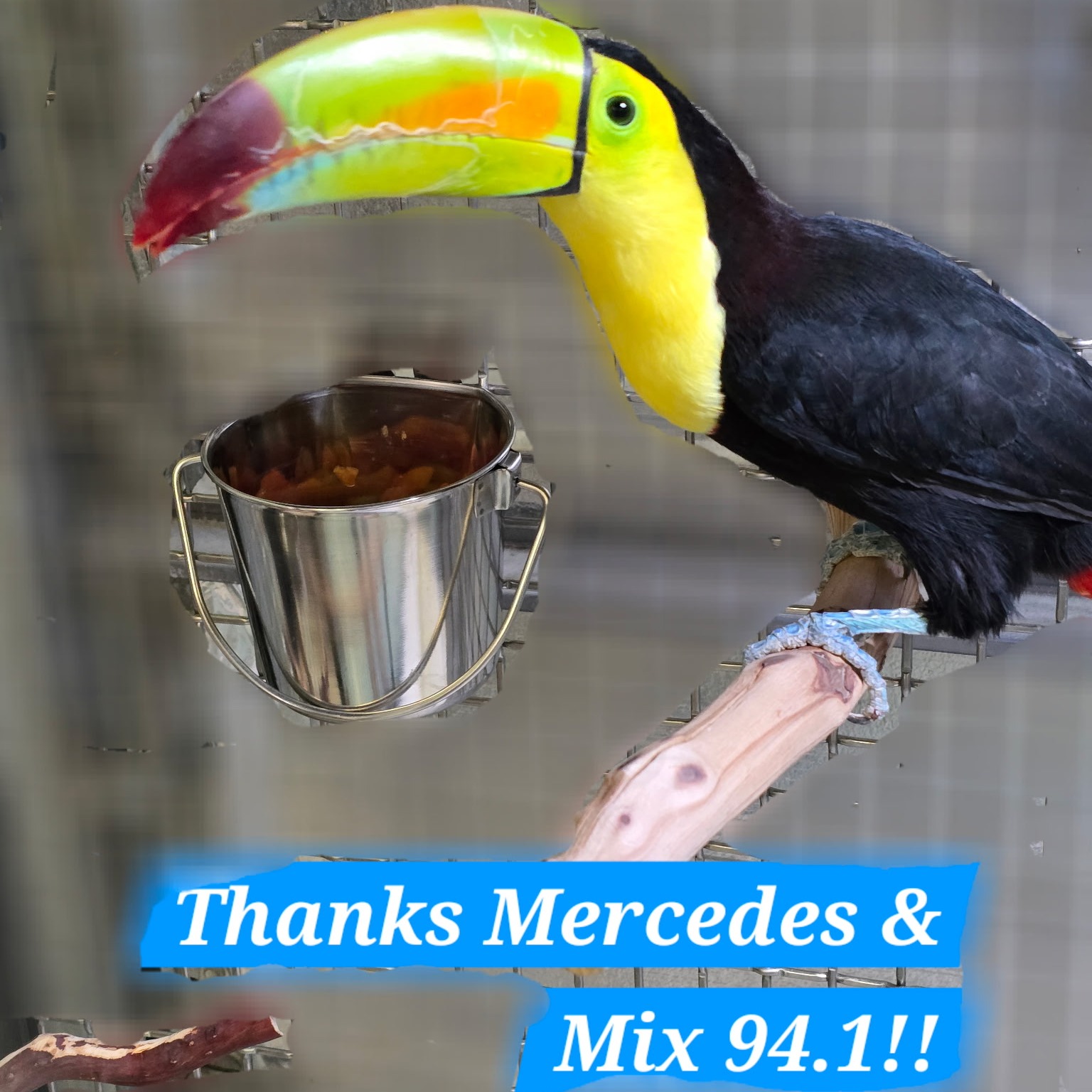 Toucan Sam has been rescued!!
