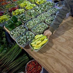 The Minneapolis Farmers Market returns this weekend