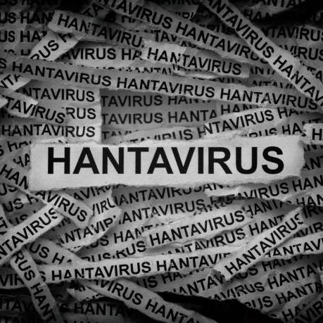 Health officials try to control a deadly outbreak of Hantavirus with concerns about it spreading