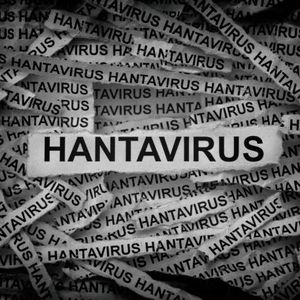 Health officials try to control a deadly outbreak of Hantavirus with concerns about it spreading