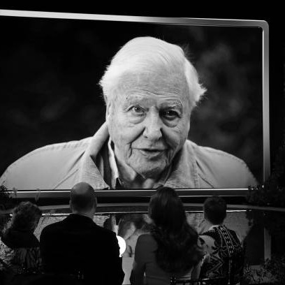 Sir David Attenborough, one of the world's most beloved naturalists, celebrating 100 years Friday