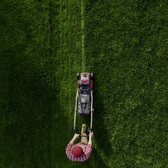 University of Minnesota experts suggest swapping the "No Mow May" slogan for a "Slow Mow Summer"