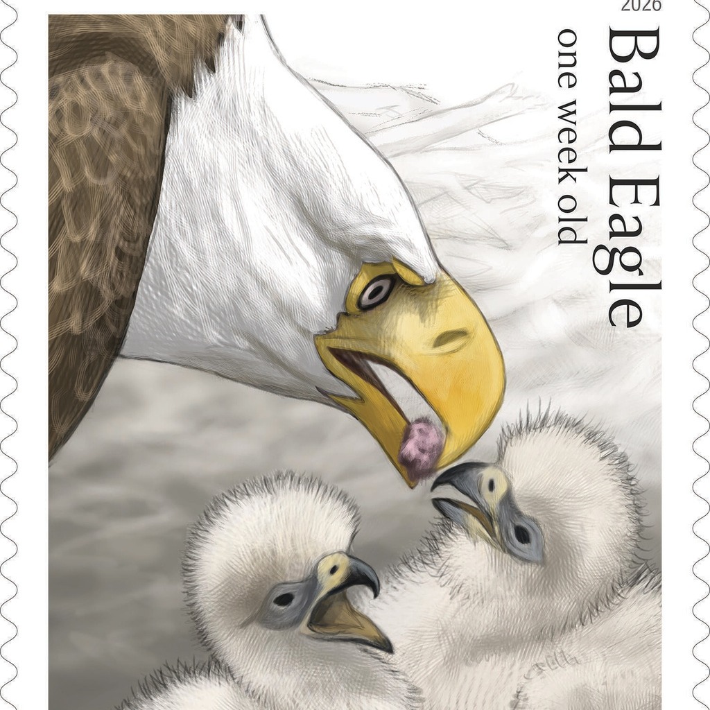 Postal Service releases special edition bald eagle stamps for America's 250th