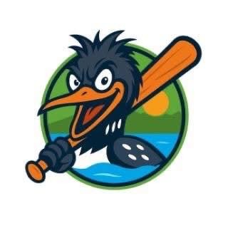 Lakeville Loonatics: A look at one of Minnesota's newest Town Ball Teams