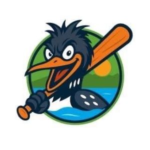 Lakeville Loonatics: A look at one of Minnesota's newest Town Ball Teams
