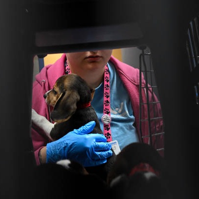 Wisconsin beagle research facility that drew protests is closing as rescue group takes in dogs