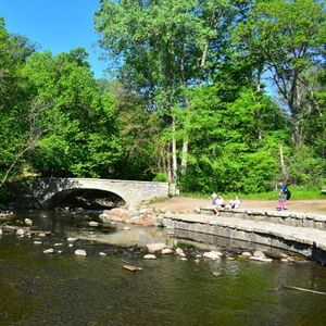 Minneapolis Park Board is set to vote on proposed closure of the Minnehaha Dog Park over cultural concerns