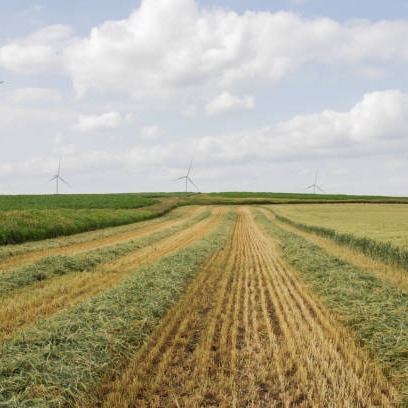 Even with the recent rain, Minnesota is still in drought conditions