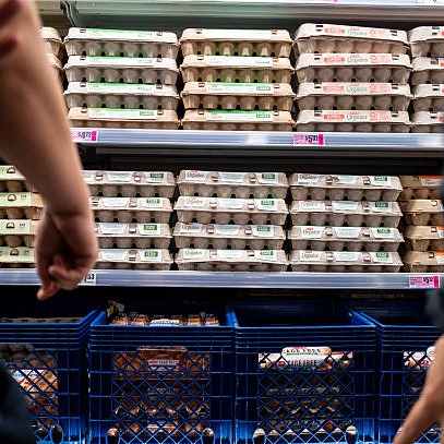 US egg producers have reached a settlement with the Justice Department