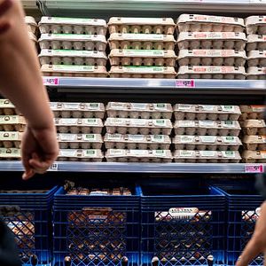 US egg producers have reached a settlement with the Justice Department