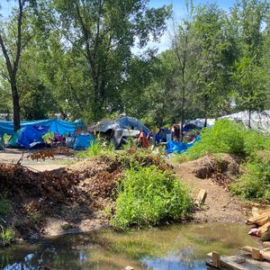 St. Paul intends to close all homeless encampments beginning with Pig's Eye Park in August
