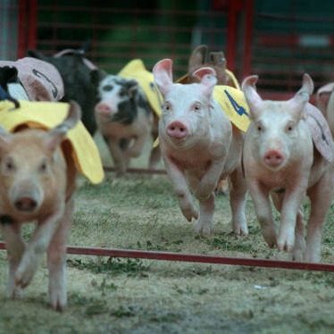 After a six-year hiatus, the Ramsey County Fair returns this week