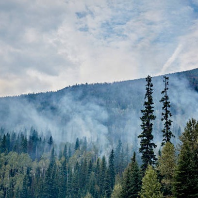 Fires have burned more than 33,000 acres across the Superior National Forest