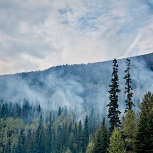 Fires have burned more than 33,000 acres across the Superior National Forest