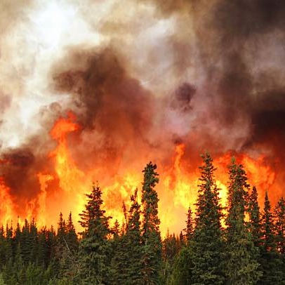 There is a scientific reason behind all of our bonkers weather