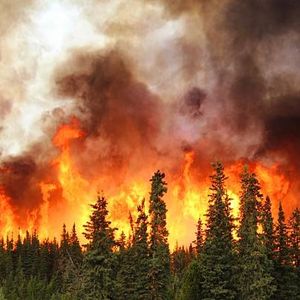 There is a scientific reason behind all of our bonkers weather