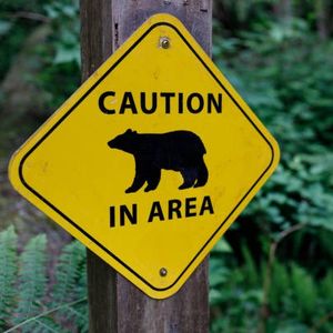 Minnesota man and his dog are recovering after being injured by a black bear