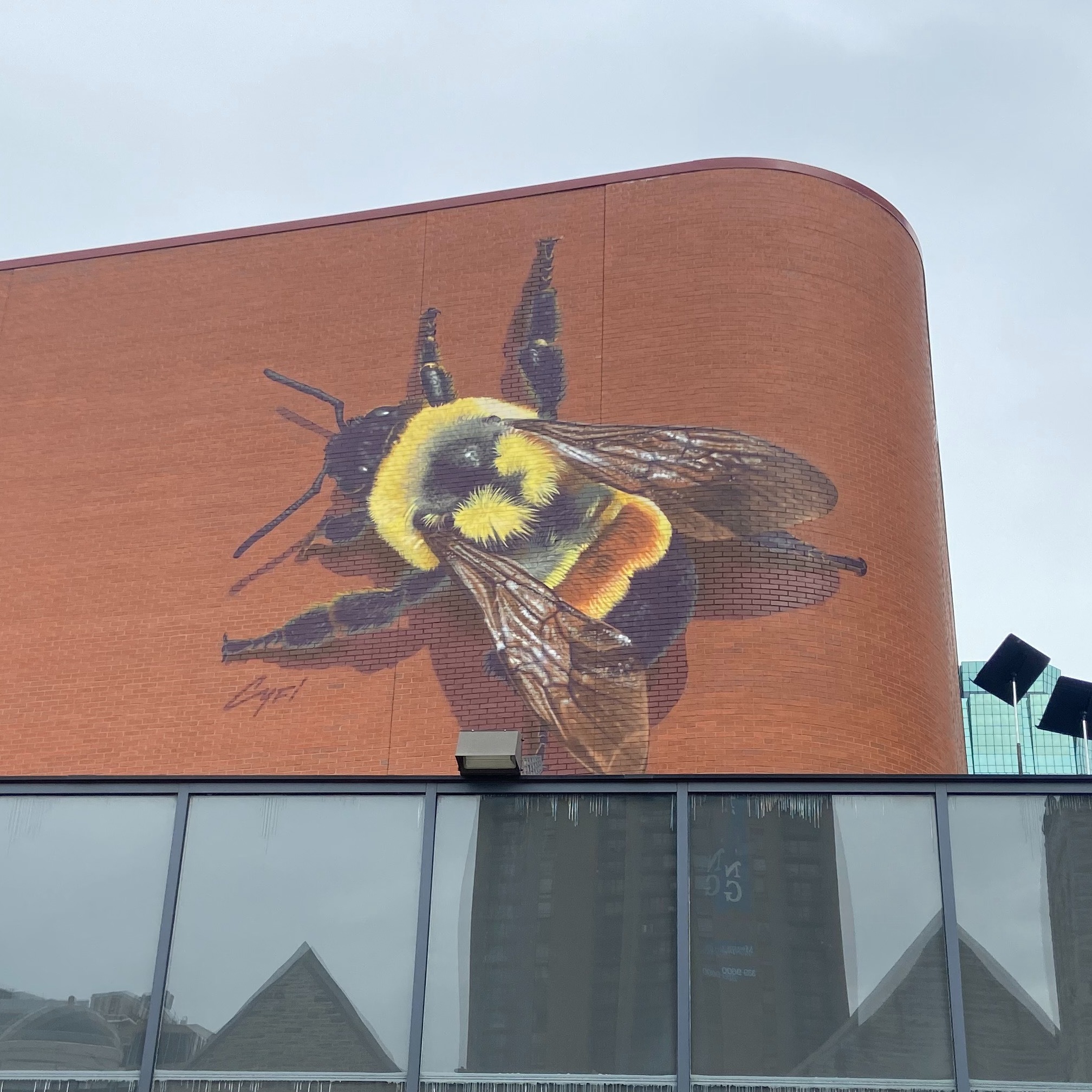 New downtown Minneapolis mural honors the bumblebee