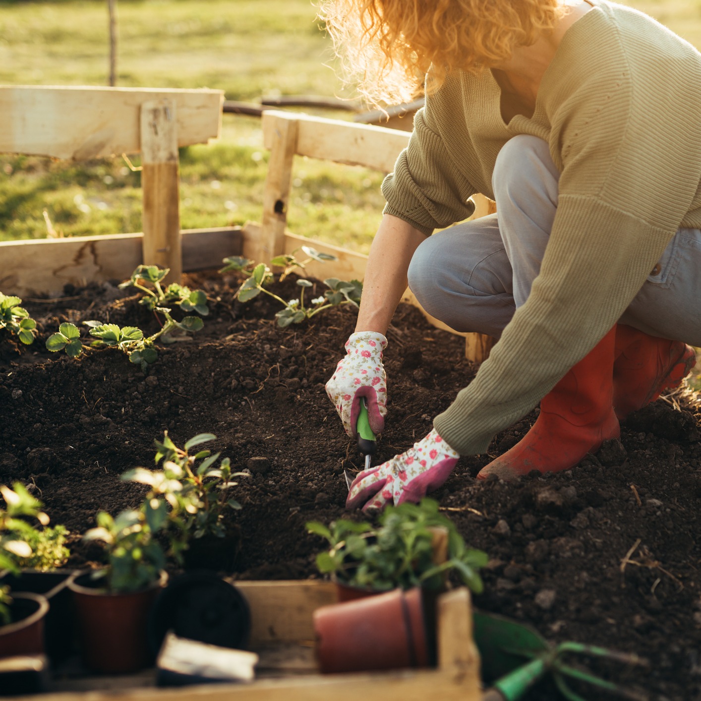 Pests in your gardens, growing those veggies and learning gardening!