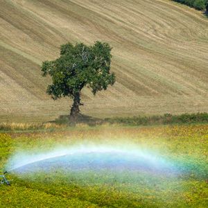 The Drought Continues…