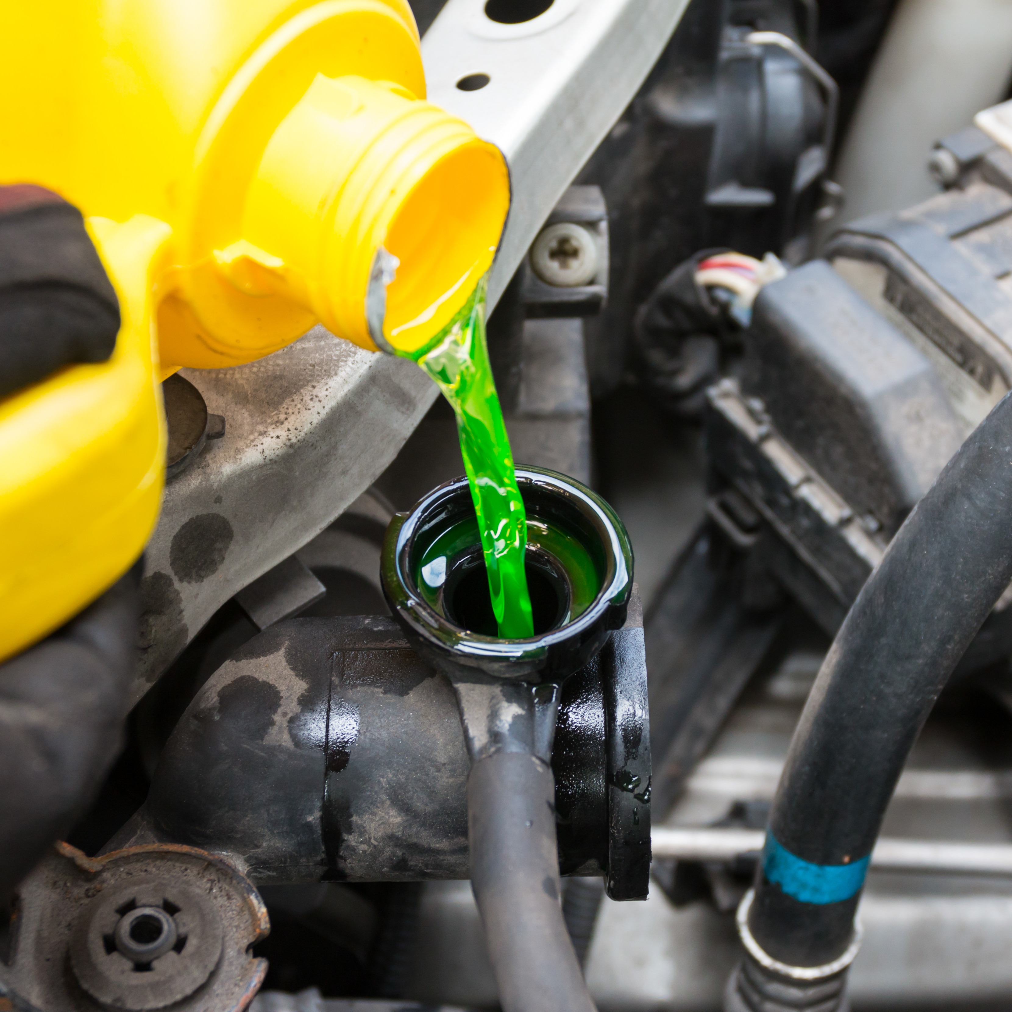 CVT Transmission Trouble, Take Care of Your Coolant, Suspicious Vehicle Sounds