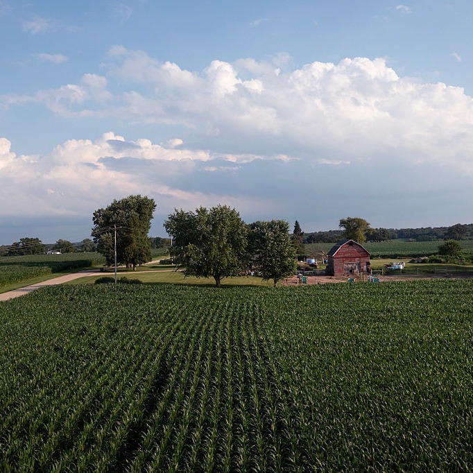 Regional Topics, Both Game and Non-Game