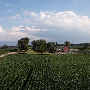 Regional Topics, Both Game and Non-Game