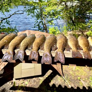 A New Gateway for Your Outdoors Excursions