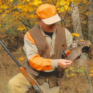 Talking Summer Fishing and Ruffed Grouse