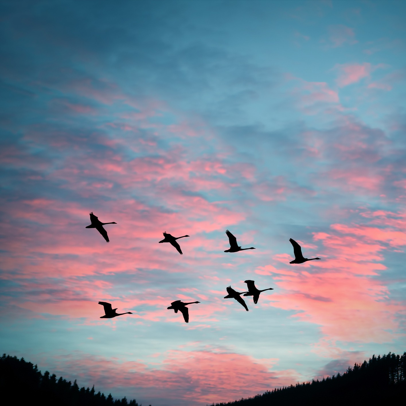 Outdoors Interview: Taking Flight for the Winter
