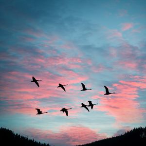 Outdoors Interview: Taking Flight for the Winter