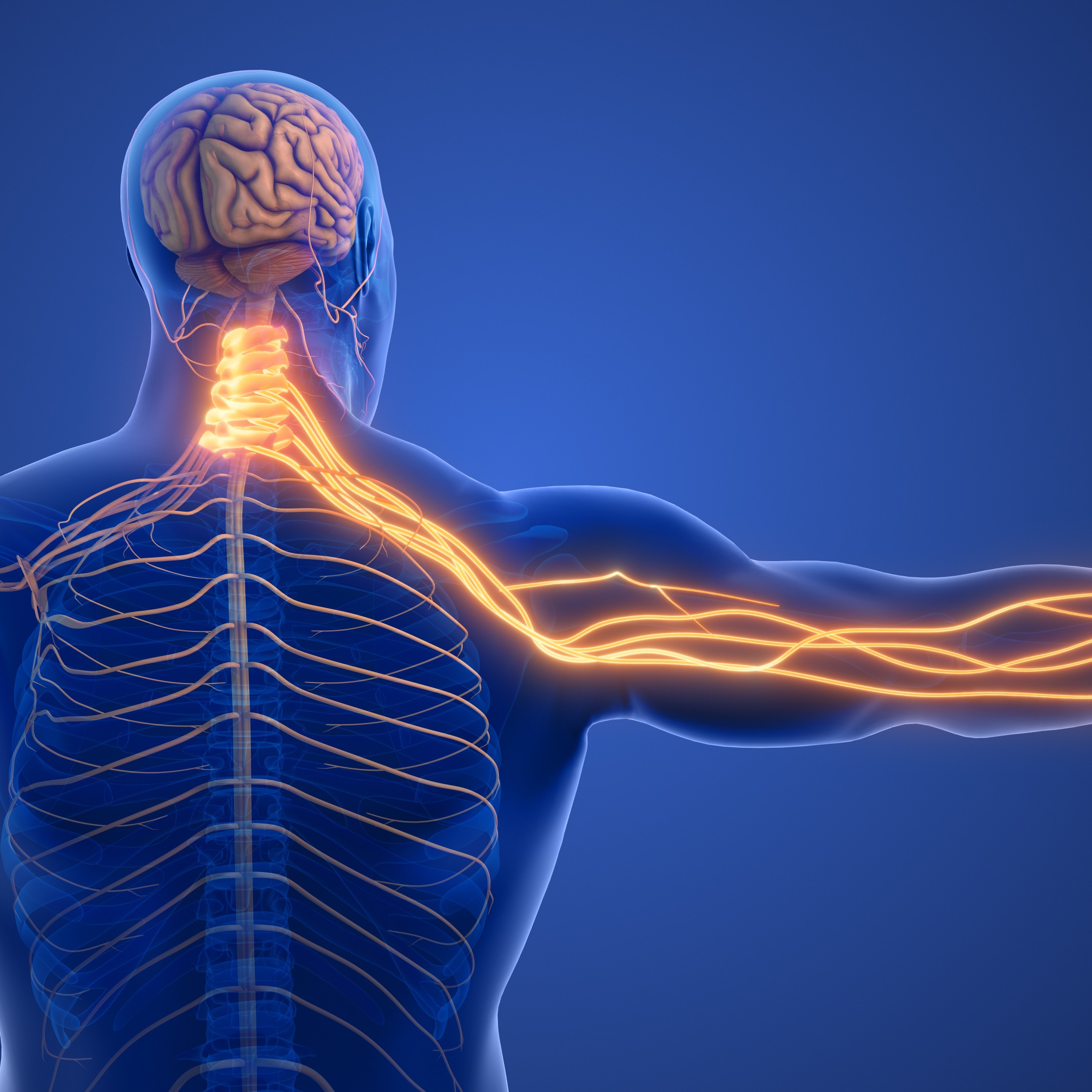This week in health news and neurological health!