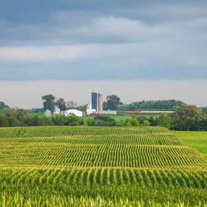 MN Ag Commissioner Thom Petersen and others on the current Ag in Minnesota!