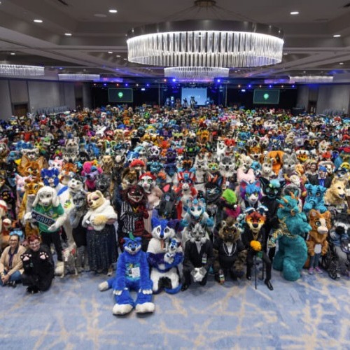 The Fur Festival is just a place for (Furry) people to let loose and be themselves judgement free