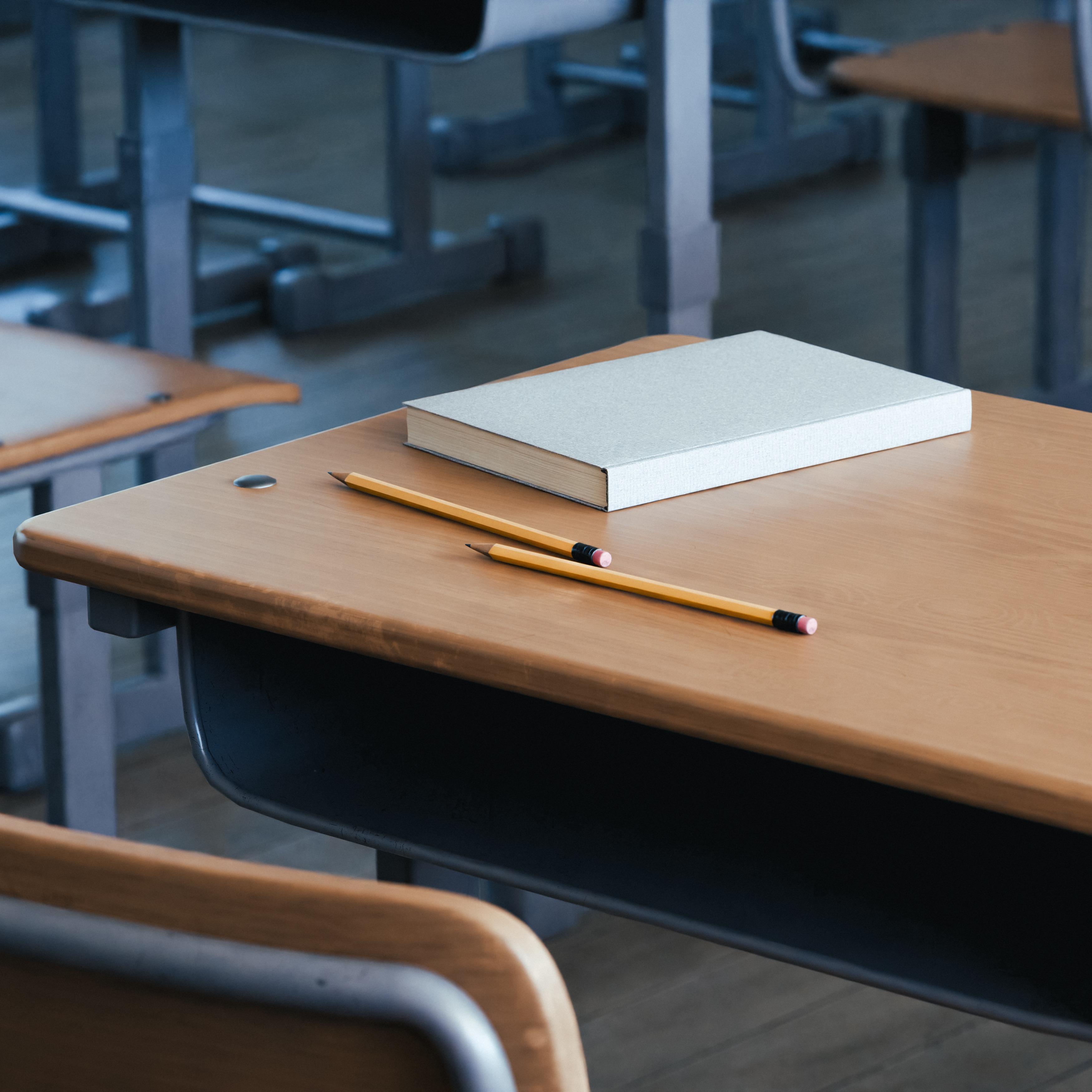 Immigration Efforts Impacting Schools
