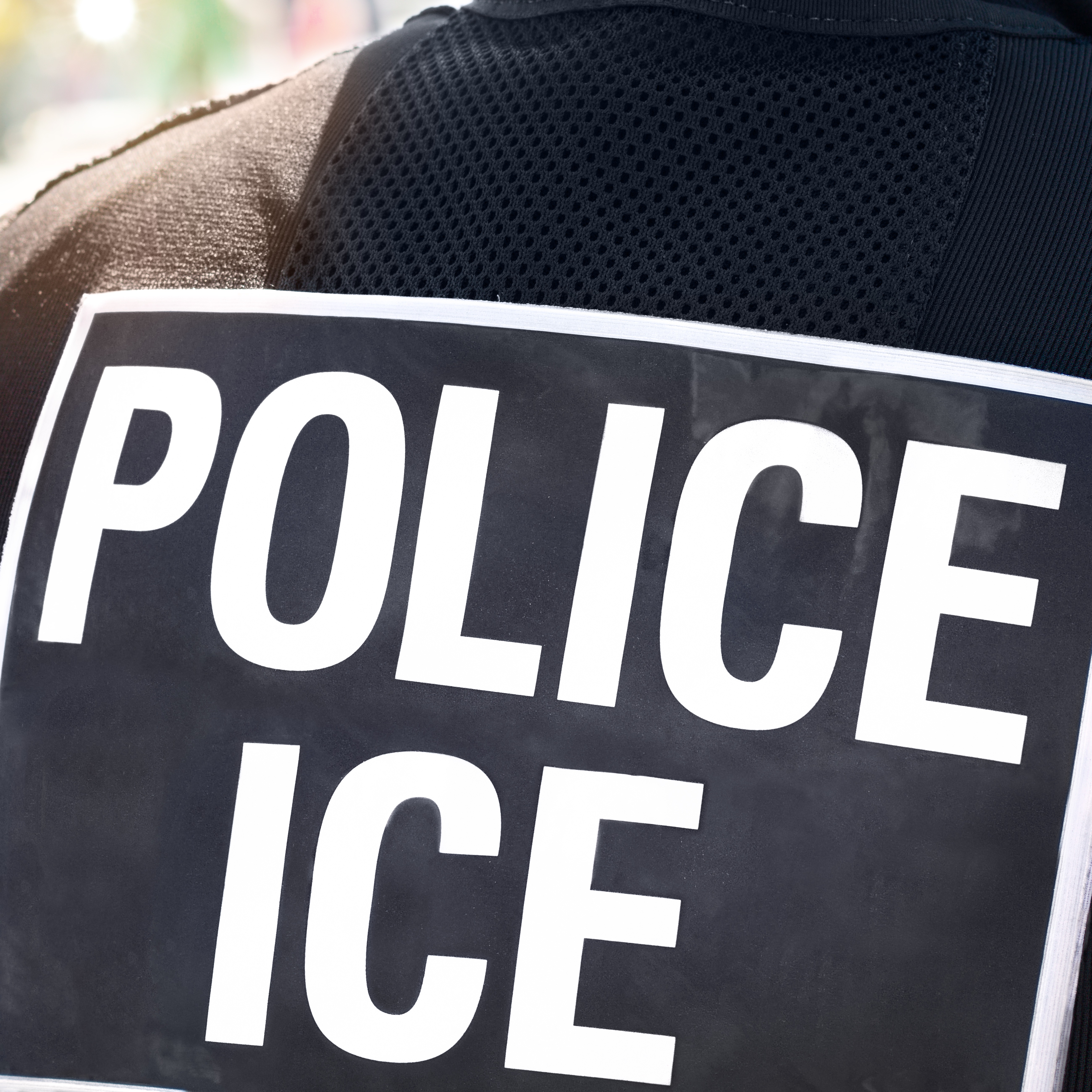 Mounds View ICE Ordinance