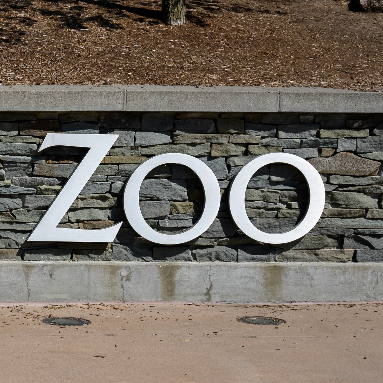 Winterfest at the Minnesota Zoo