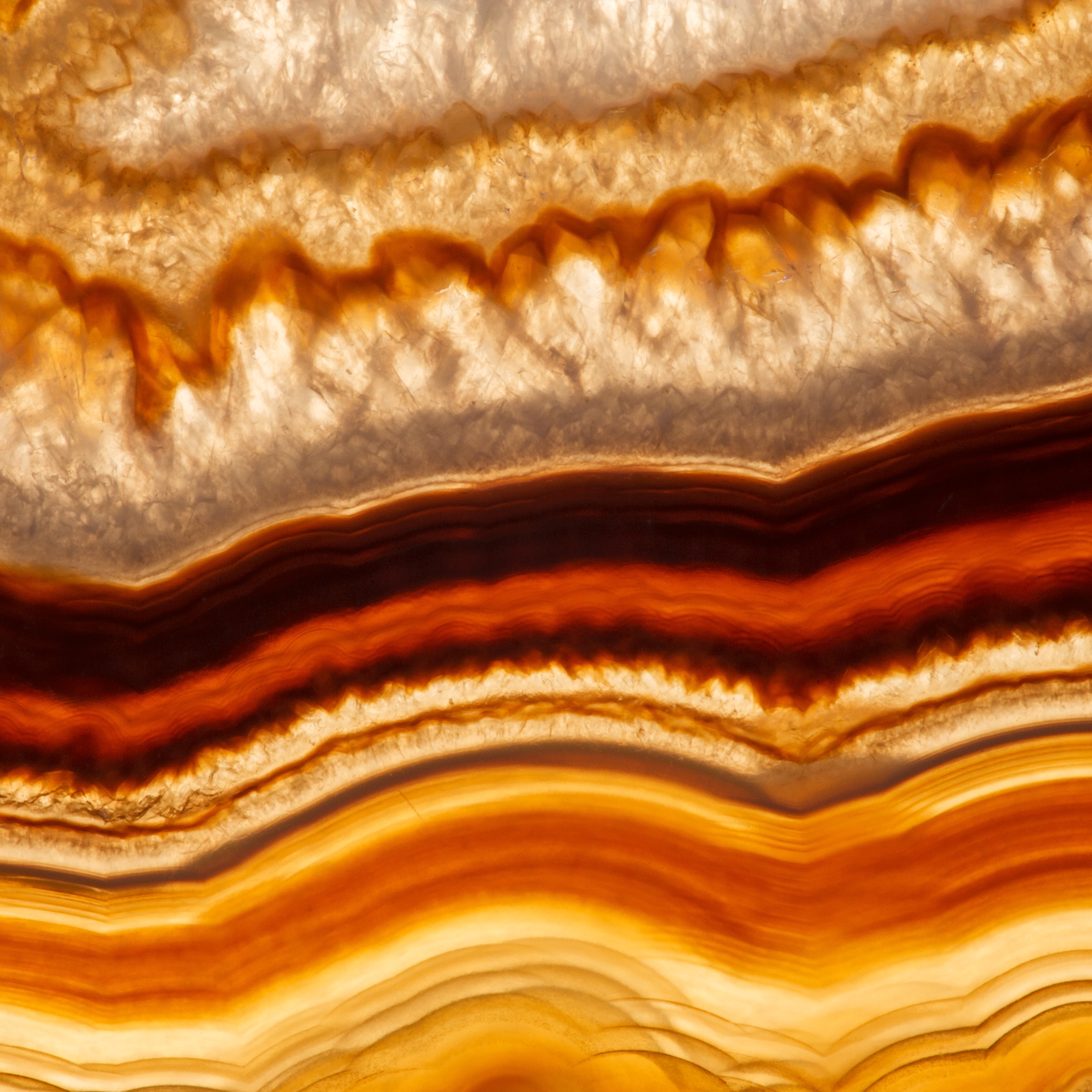 An Agate on a License Plate